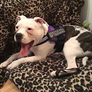 Meet your Posher, Jeremy